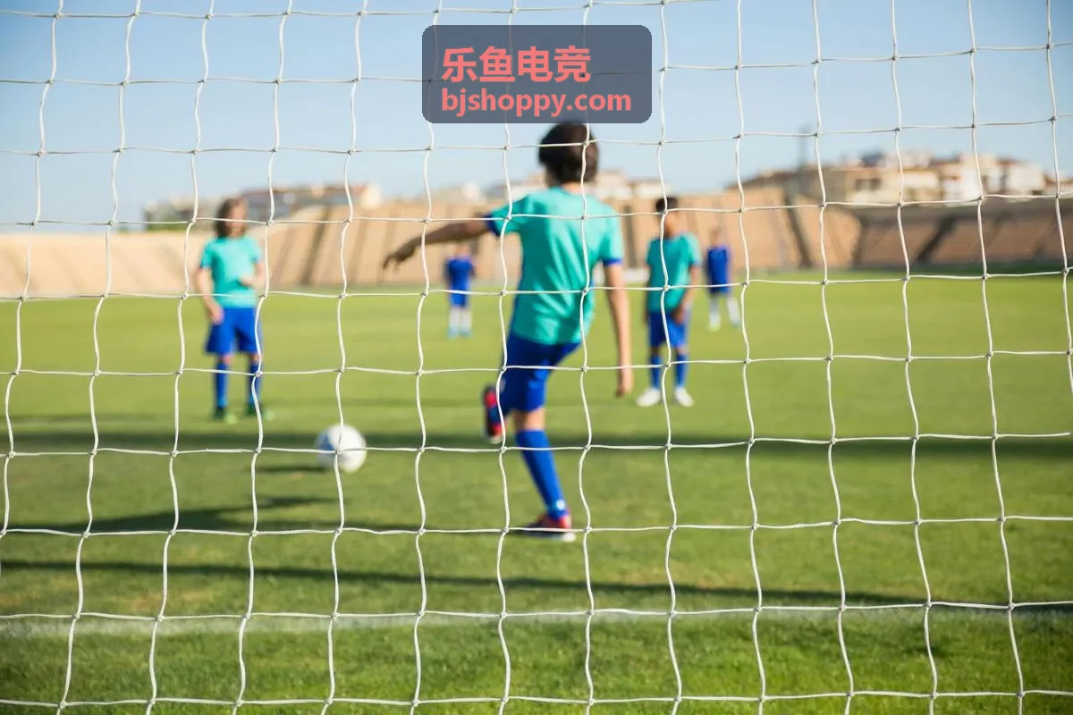 乐鱼电竞低延迟网络